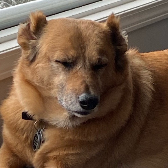 Meet your Posher, Mary - Picture 1 of 1